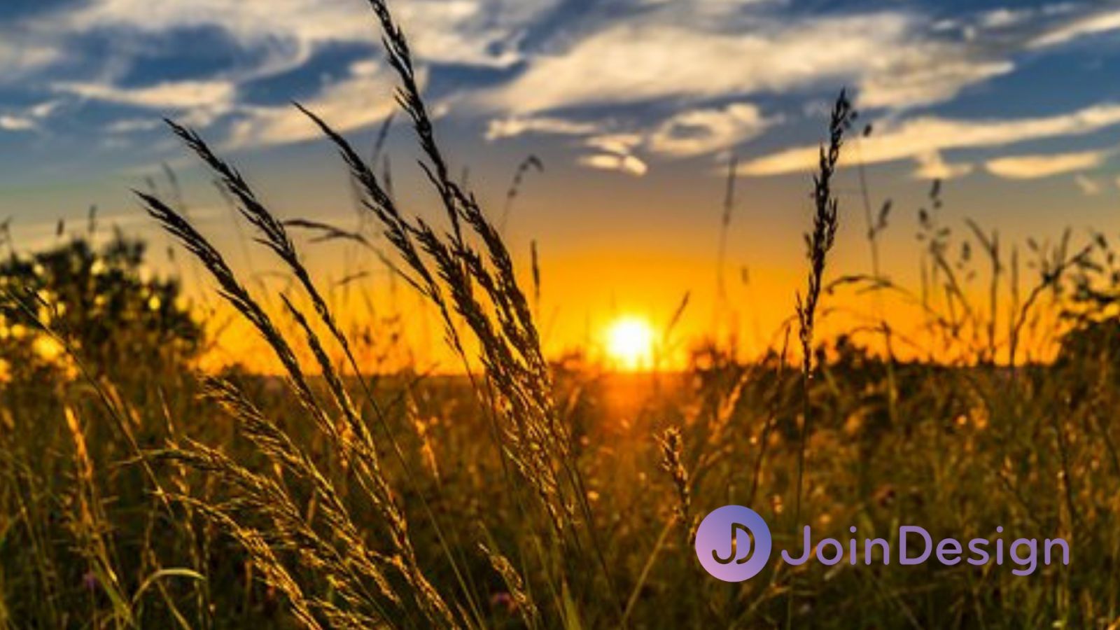 Environment and Lighting